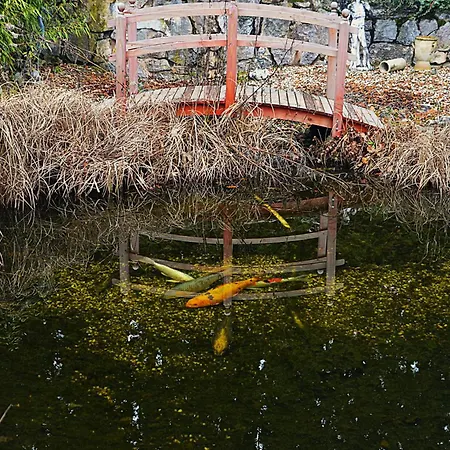 Wellness Sophienhoehe Am Teich Mechernich