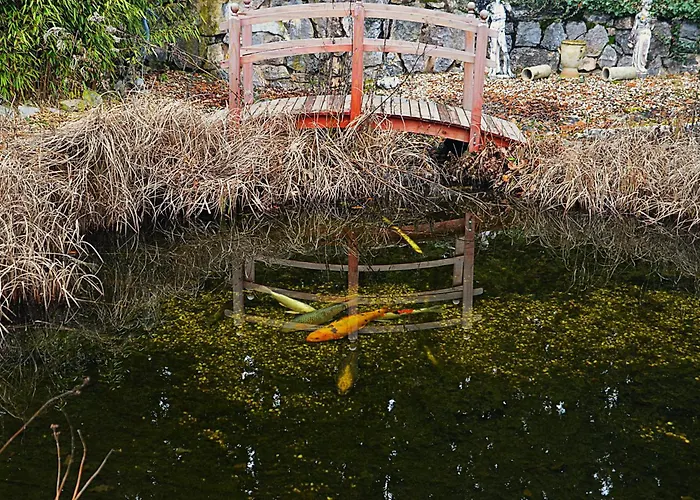 Wellness Sophienhoehe Am Teich Mechernich